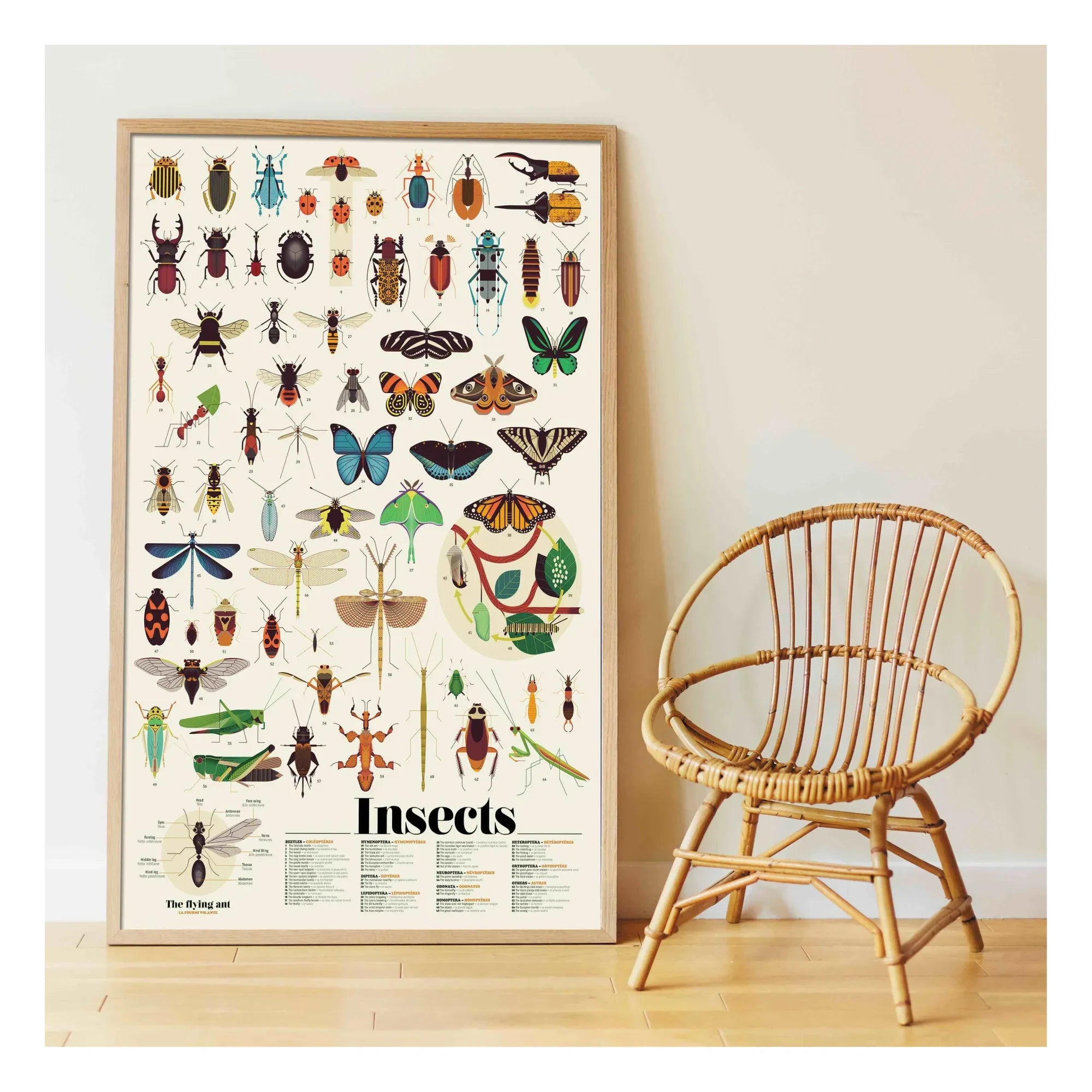 Poppik - Insect Sticker Poster