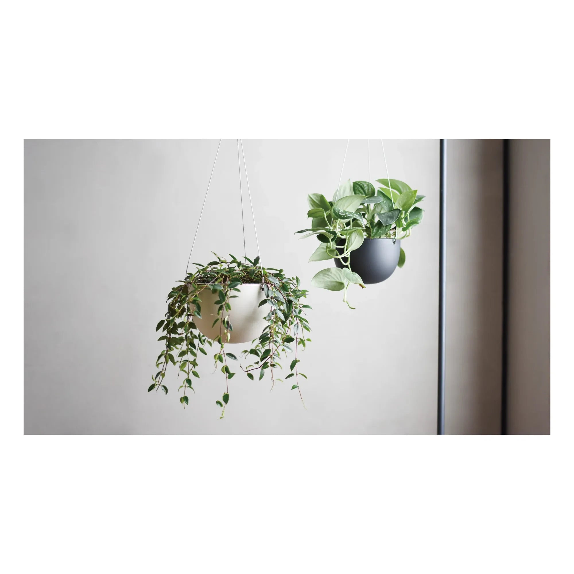 Kinto - Hanging Planter | Beige