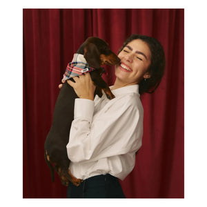 Cafide - Nata Dog Bandana | Red