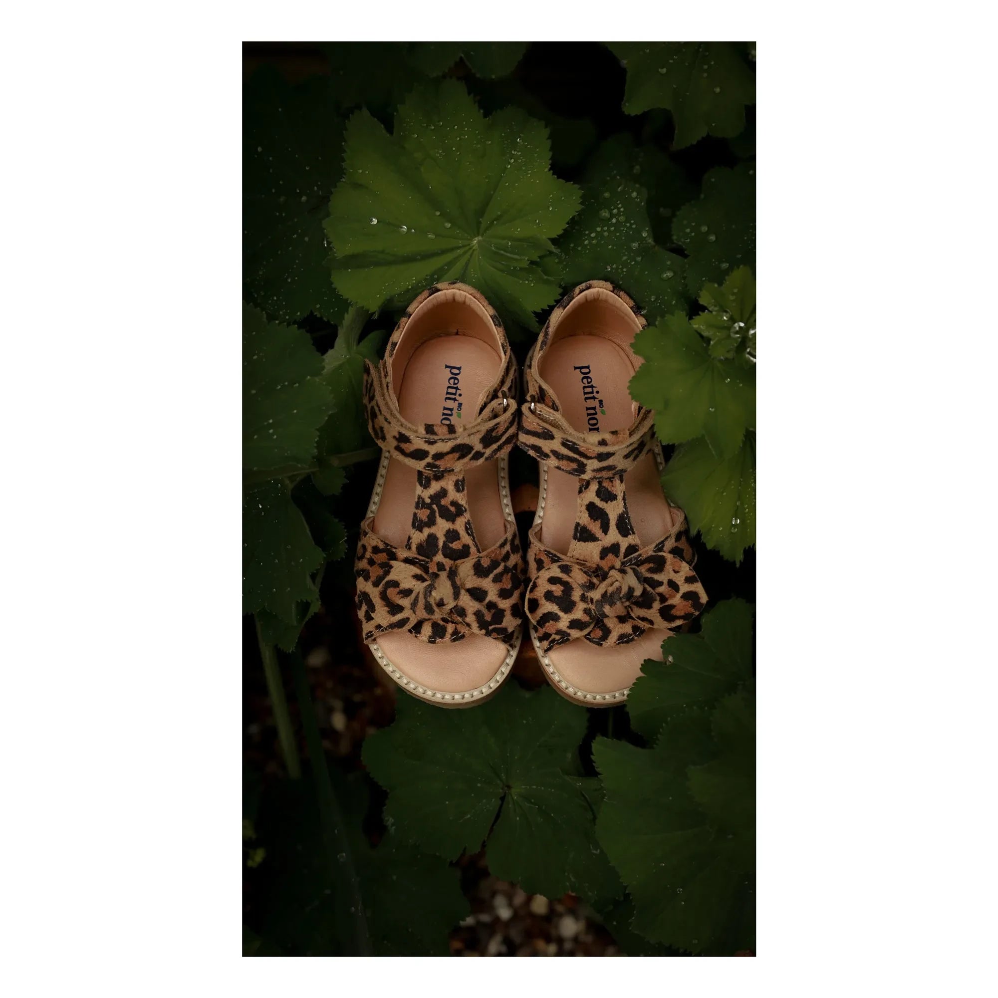 Petit Nord - Leopar Fiyonklu Sandalet | Kahverengi