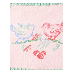 Gingersnaps - Pale Pink | Rose Embroidered Tulle Crop Top