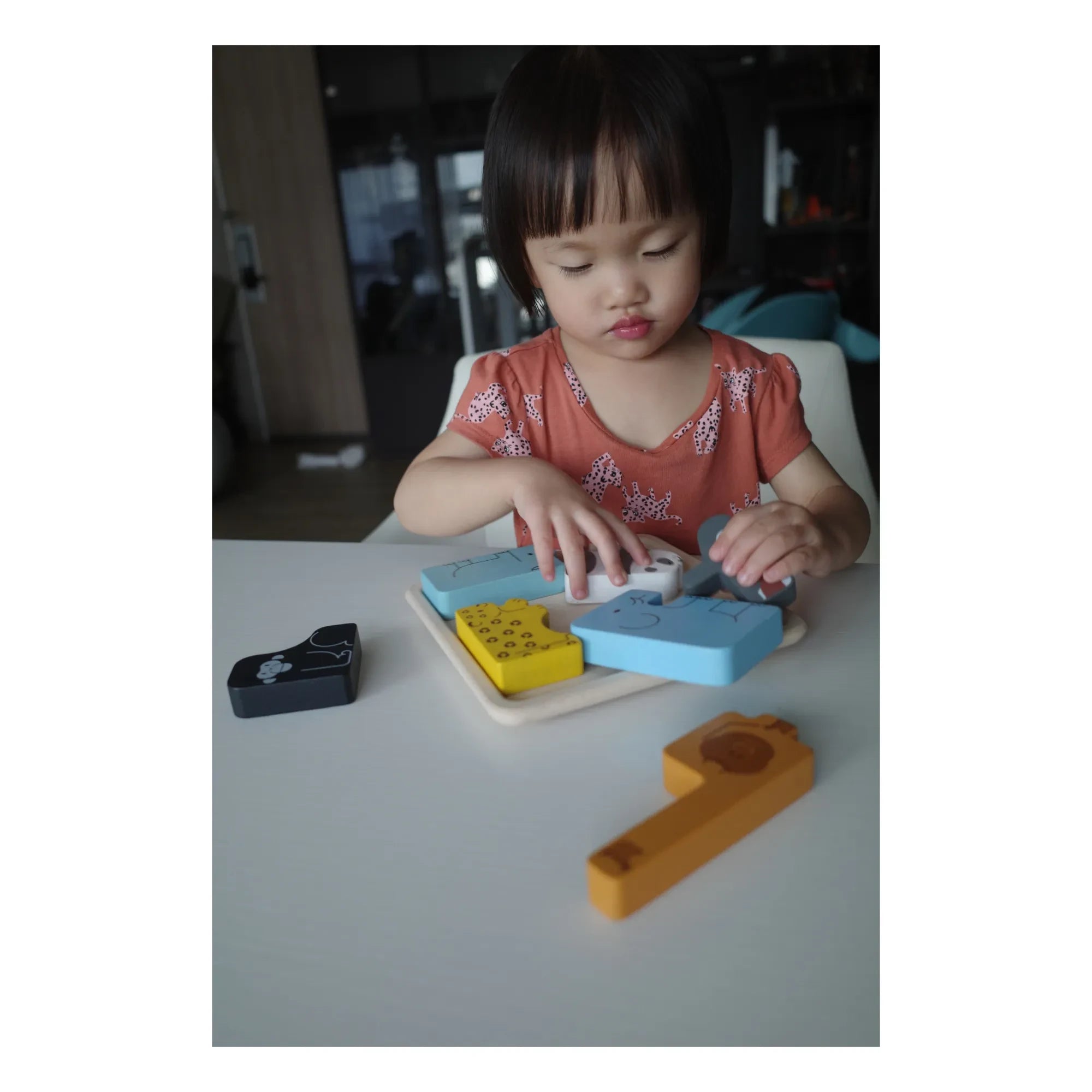 Plan Toys - 2-in-1 Animal Puzzle