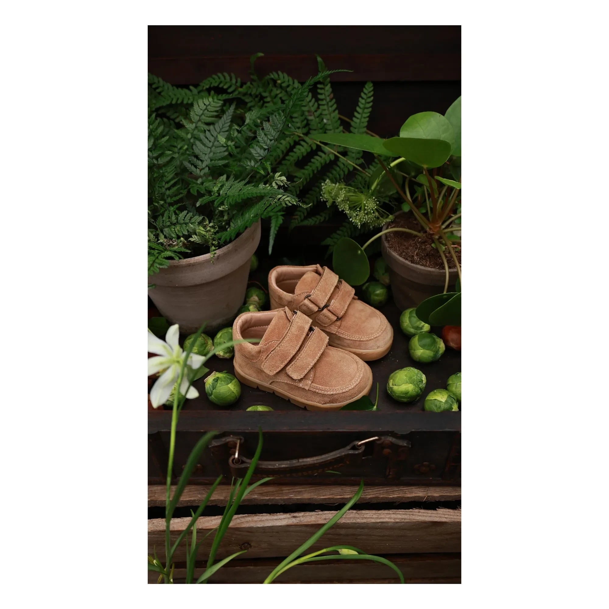 Petit Nord - Chubby Cruiser Scratch Sneakers | Beige