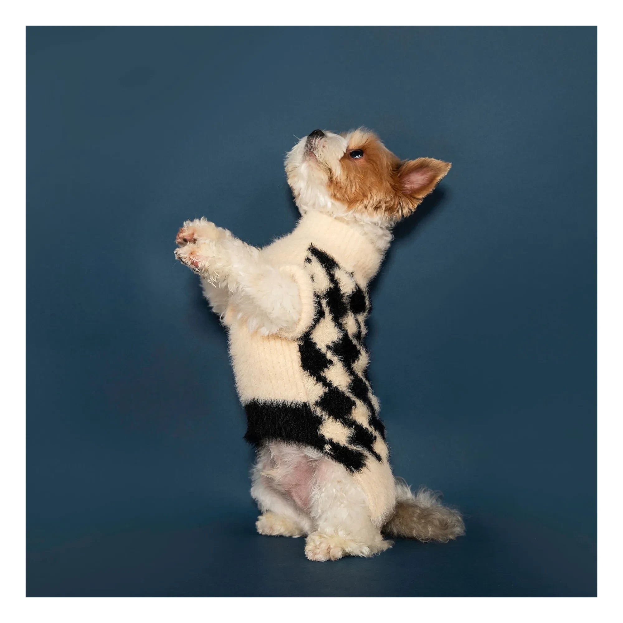 The Furry Folks - Pixmond kazak | Siyah