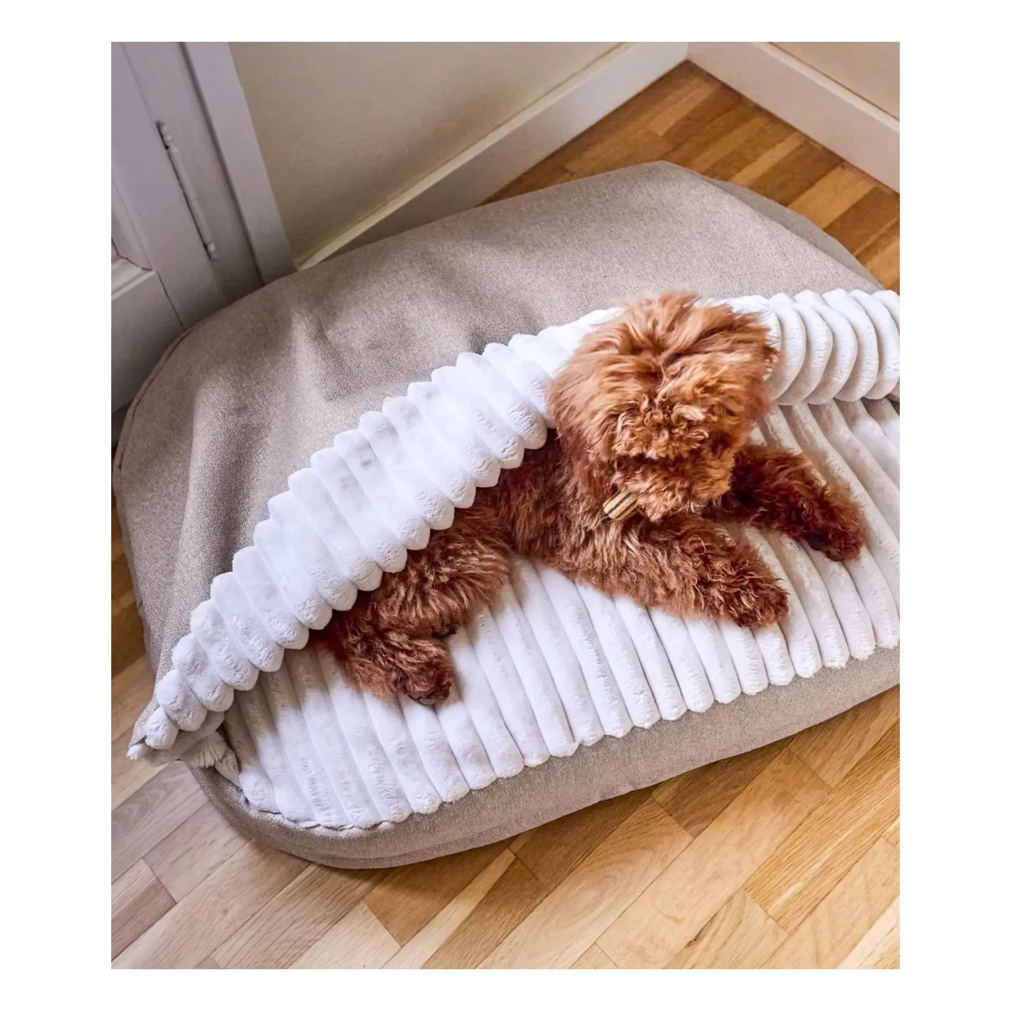 Cafide - Maso Dog Bed | Beige