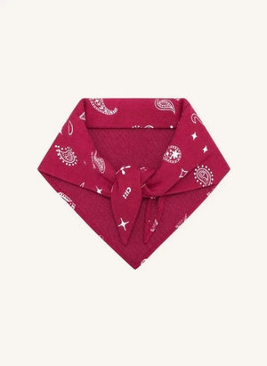 Cos I Said So - Organic Cotton Paisley Shawl | Red