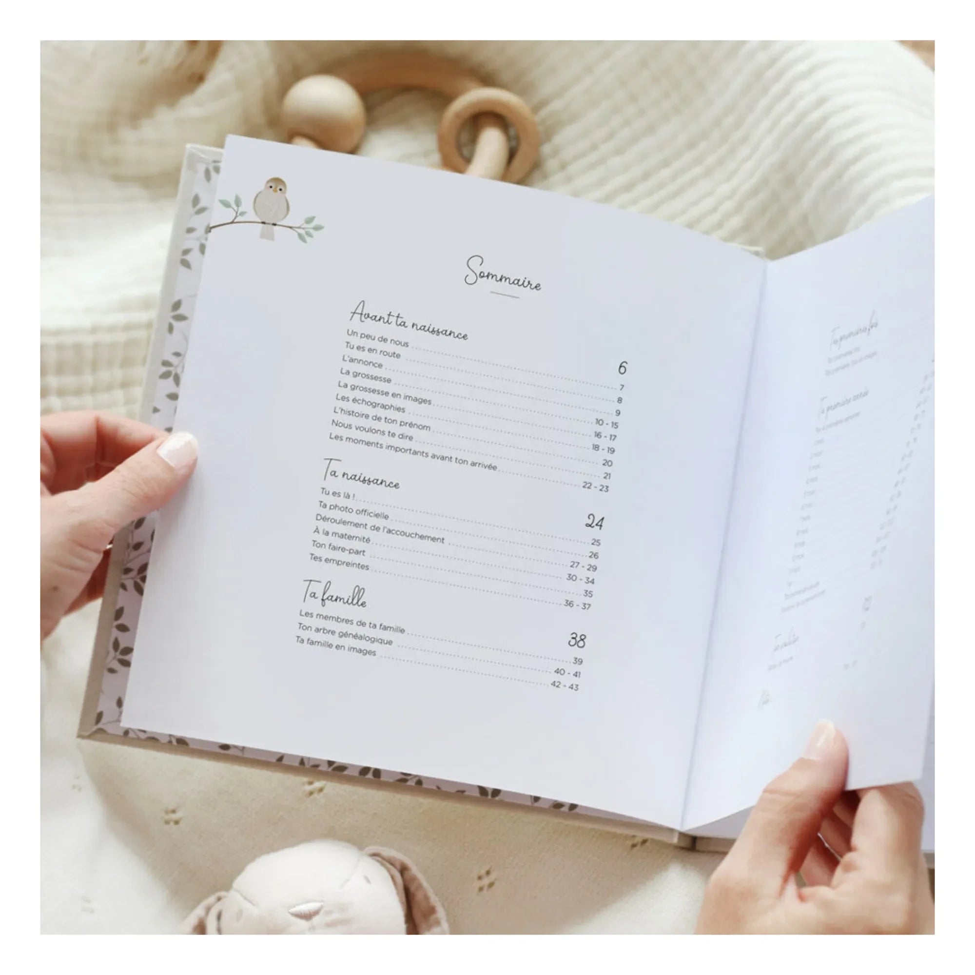 Zü - Baby Book: Your First Year