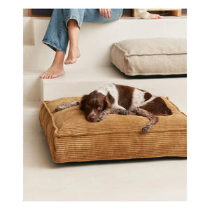 Cafide - Cuadra velvet dog bed | Mustard