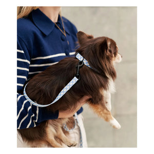 Cafide - Juno dog collar | Light blue