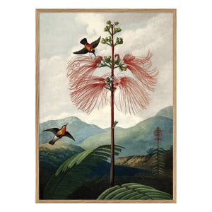 The Dybdahl Co. - Flower Tree Poster