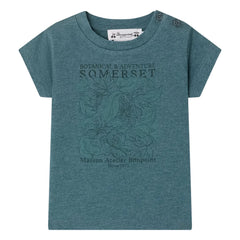 Bonpoint - Tom T-shirt Organik pamuk | Peacock blue