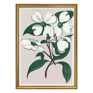 The Dybdahl Co. - Cornus Florida Poster