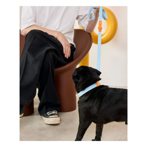 Approved by Fritz - Dog Collar | Light Blue