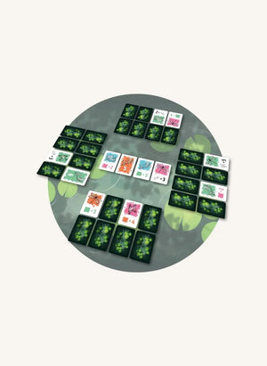 Blackrock Games - Strategy game Symbiose