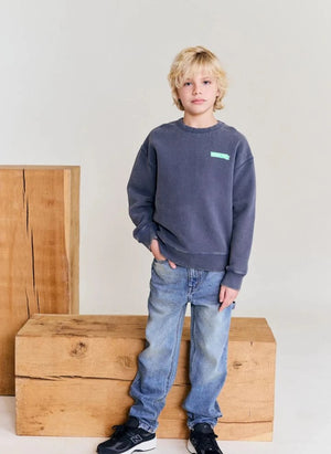 AO76 - Oscar Doggy recycled cotton sweatshirt | Charcoal gray