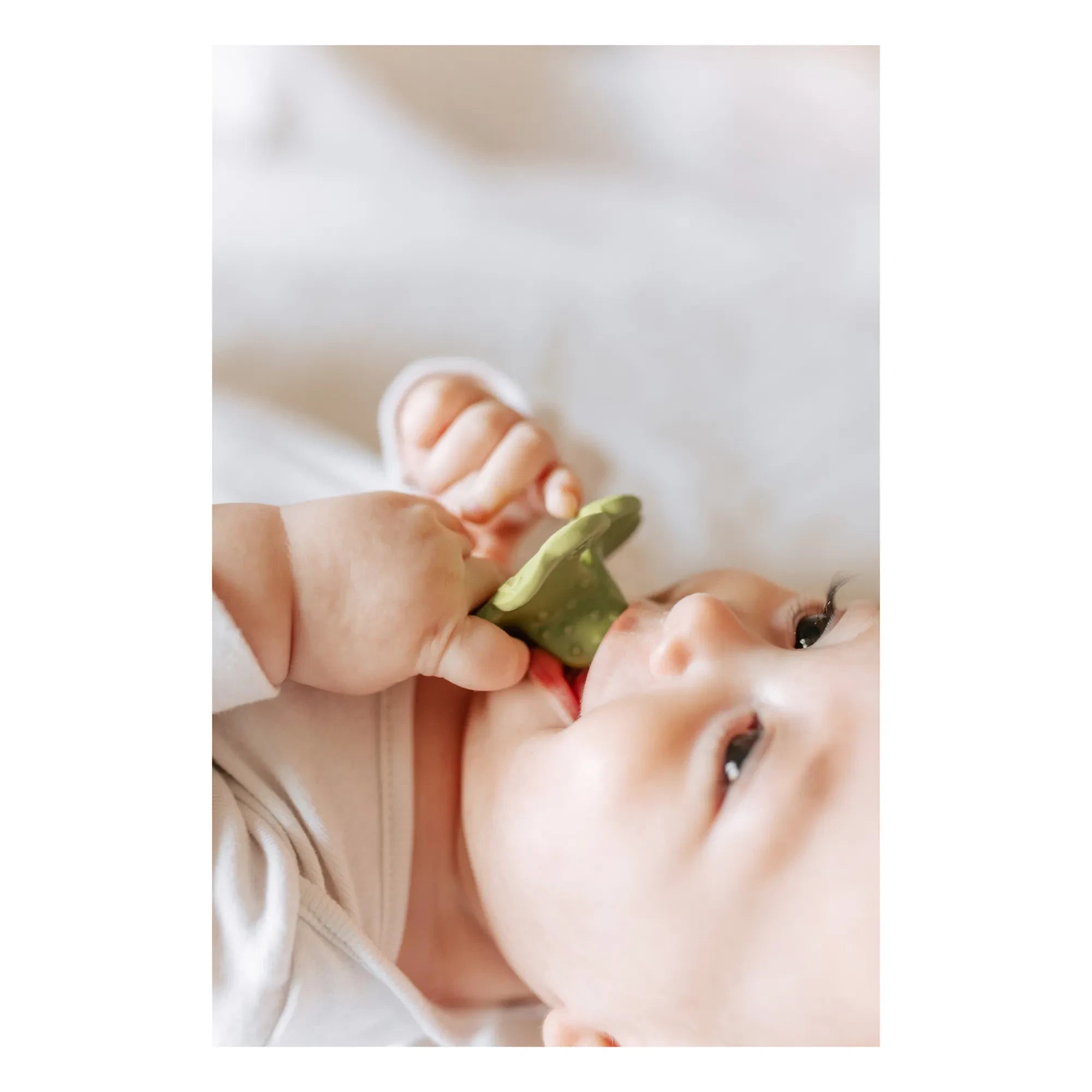 Oli & Carol - Clover Teething Toy | Green