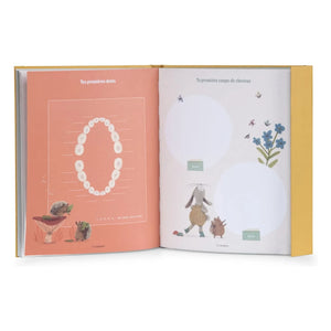 Moulin Roty - Birth Book - Trois petits lapins