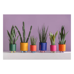 Present Time - Double Funky saksı | Pembe