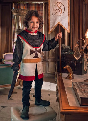 Souza - Norman Knight Costume