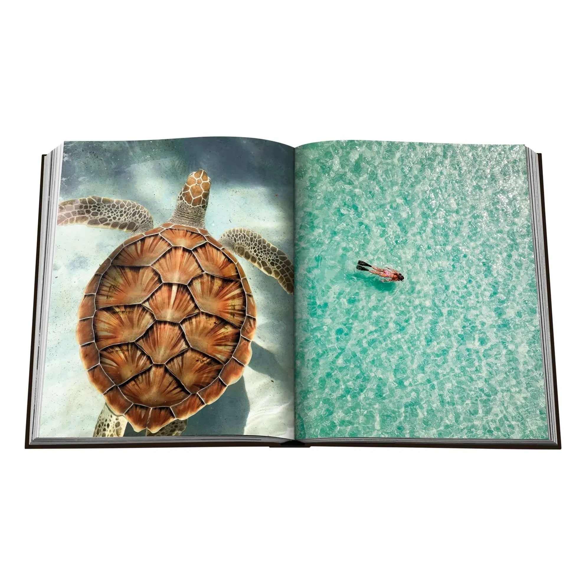 Assouline - Jamaica Breeze