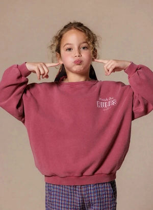 Apaches - Vanya Duck Sweatshirt | Mavi