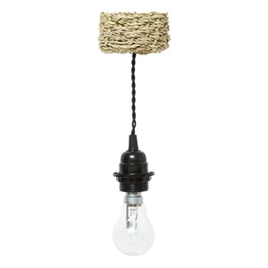 Cosydar - Lighting Fixture and Palm Leaf Ceiling Rose