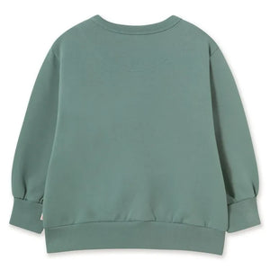 Tinycottons - Organic Cotton Dog Sweatshirt | Green Water