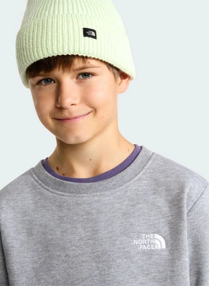 The North Face - Simple Done Sweatshirt | Gray Melange
