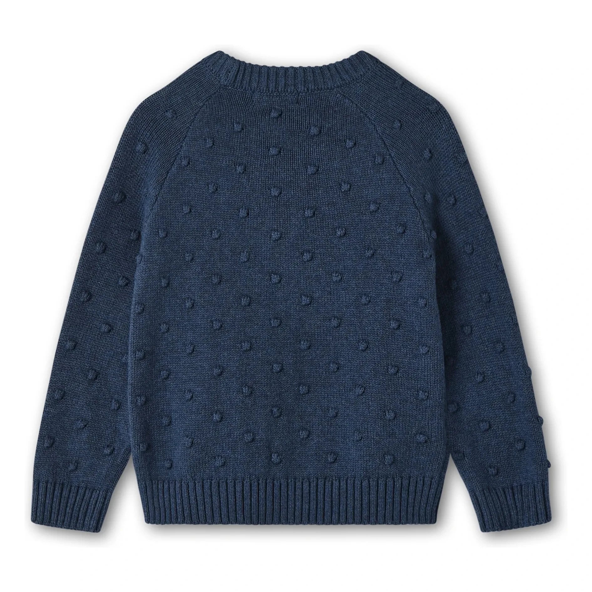 Fliink - Bon Dot Sweater | Blue