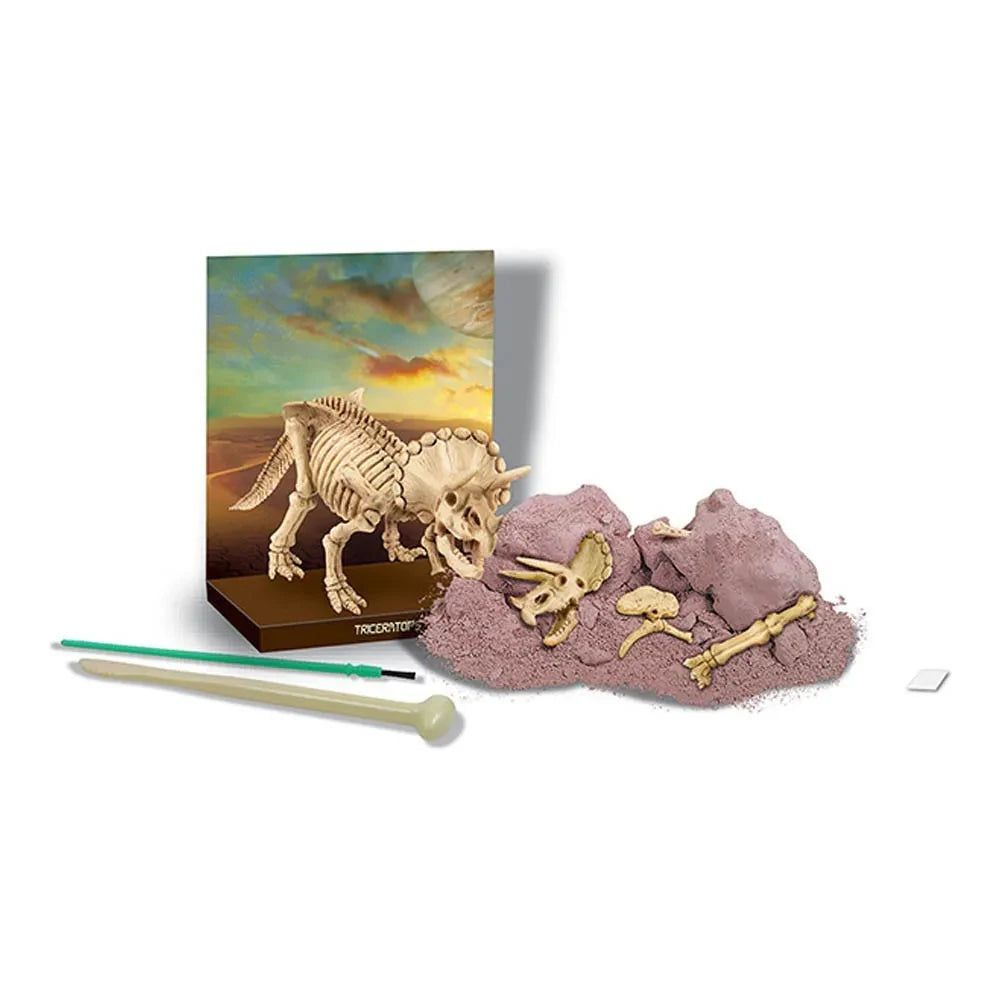 4M - Triceratops Excavation Kit