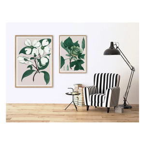 The Dybdahl Co. - Cornus Florida Poster