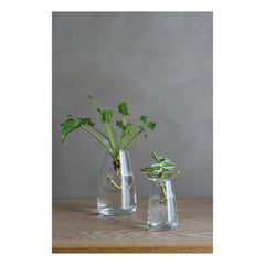 Kinto - Seafood Glass Vase | Transparent