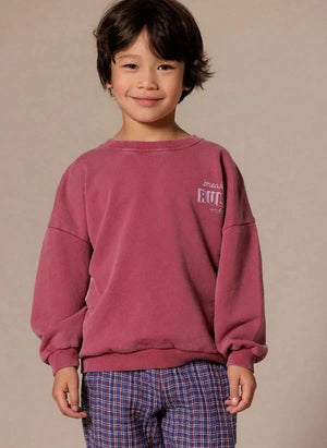 Apaches - Vanya Duck Sweatshirt | Mavi