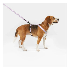 Cafide - Juno dog collar | Lilac