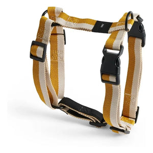 Hay - Kemerler | Off-White