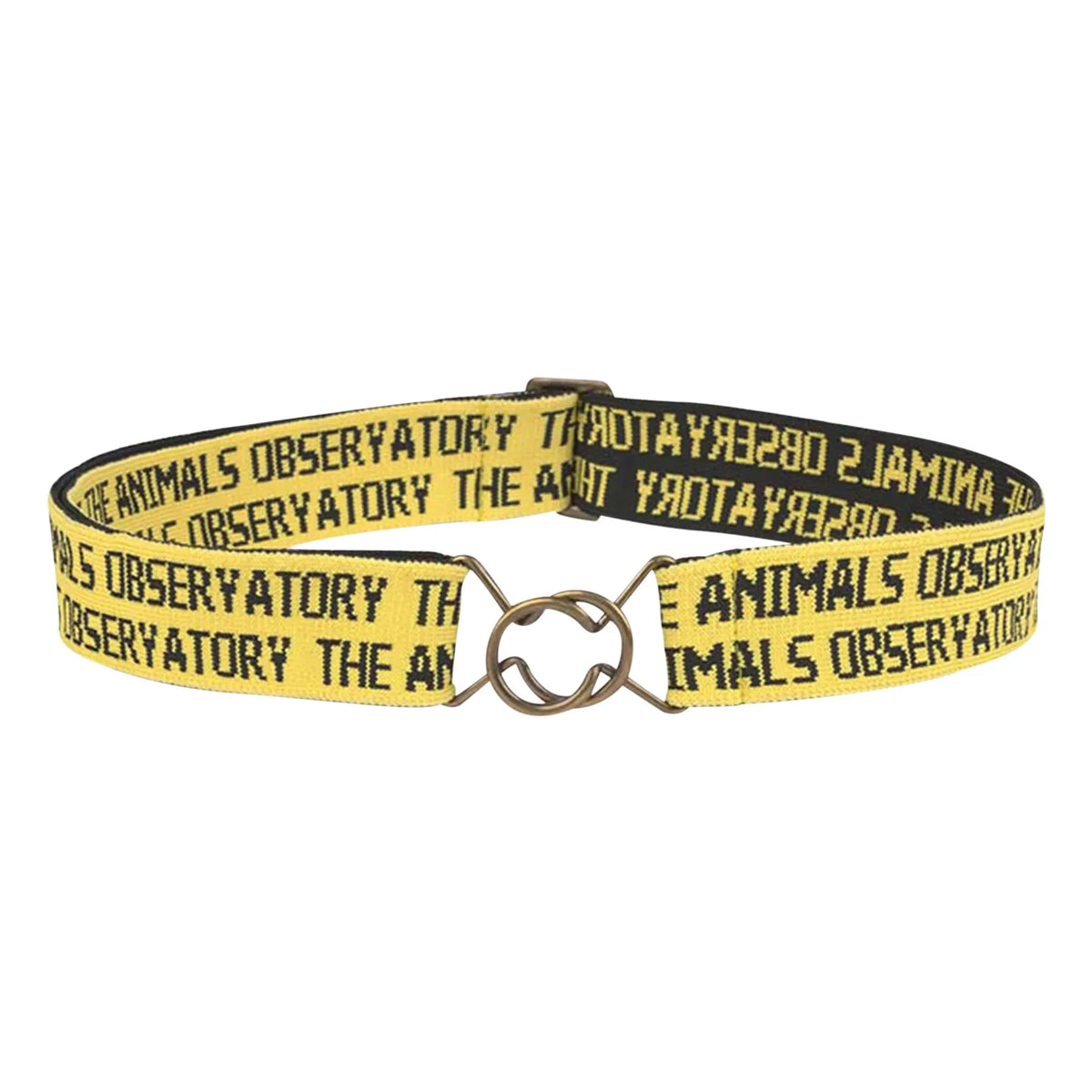 The Animals Observatory - Lovebird Adjustable Belt | Yellow