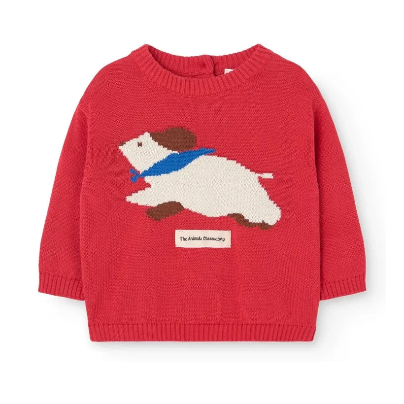 The Animals Observatory - Bobcat sweatshirt | Kırmızı