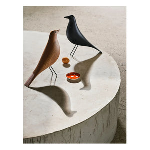 Vitra - House Bird dekoratif kuş | Siyah dişbudak