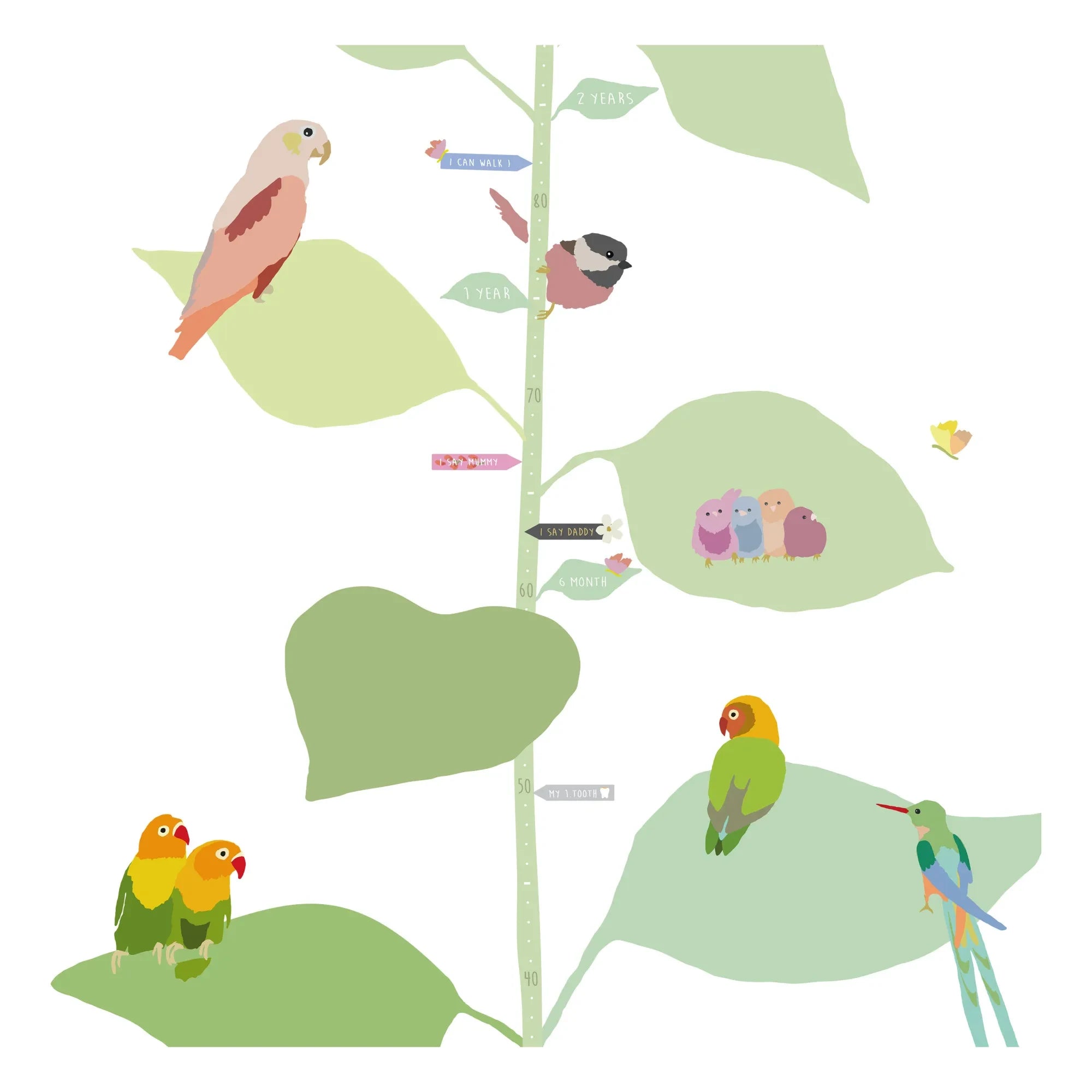MIMI'lou - With The Birds Boy Size Chart - EN