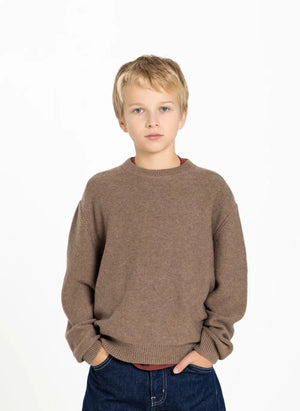 Smallable Kid - Matteo Wool Sweater | Dark Brown