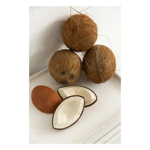 Oli & Carol - Coco Coconut Teething Ring | White