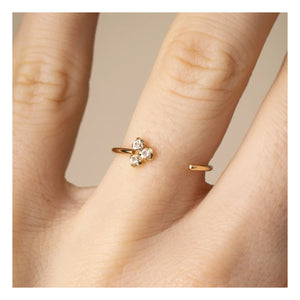 April Please - François Ring | Champagne