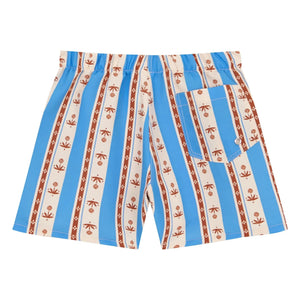birinit - Sena Striped Swim Shorts | Azure blue
