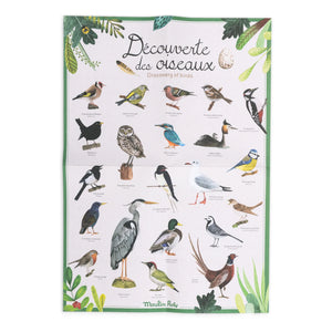 Moulin Roty - Bird Discovery Set