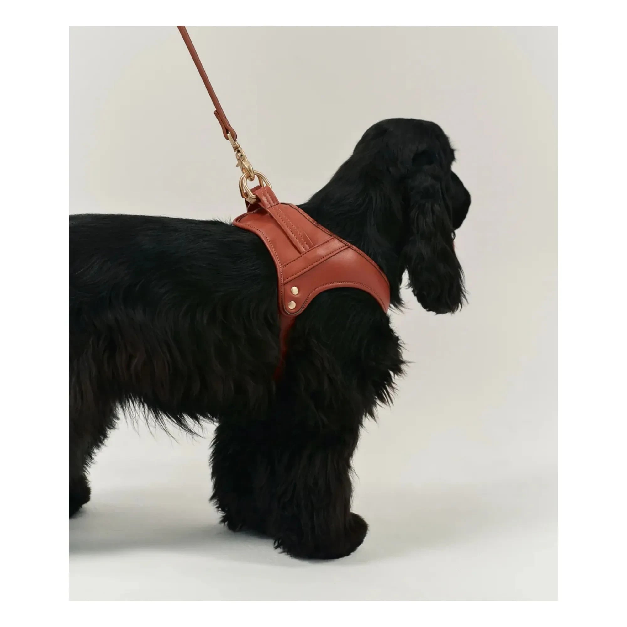 Cafide - Vegan Leather Dog Harness | Brown