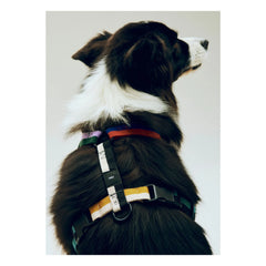 Hay - Harness Sets