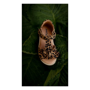 Petit Nord - Leopard Bow Sandals | Brown