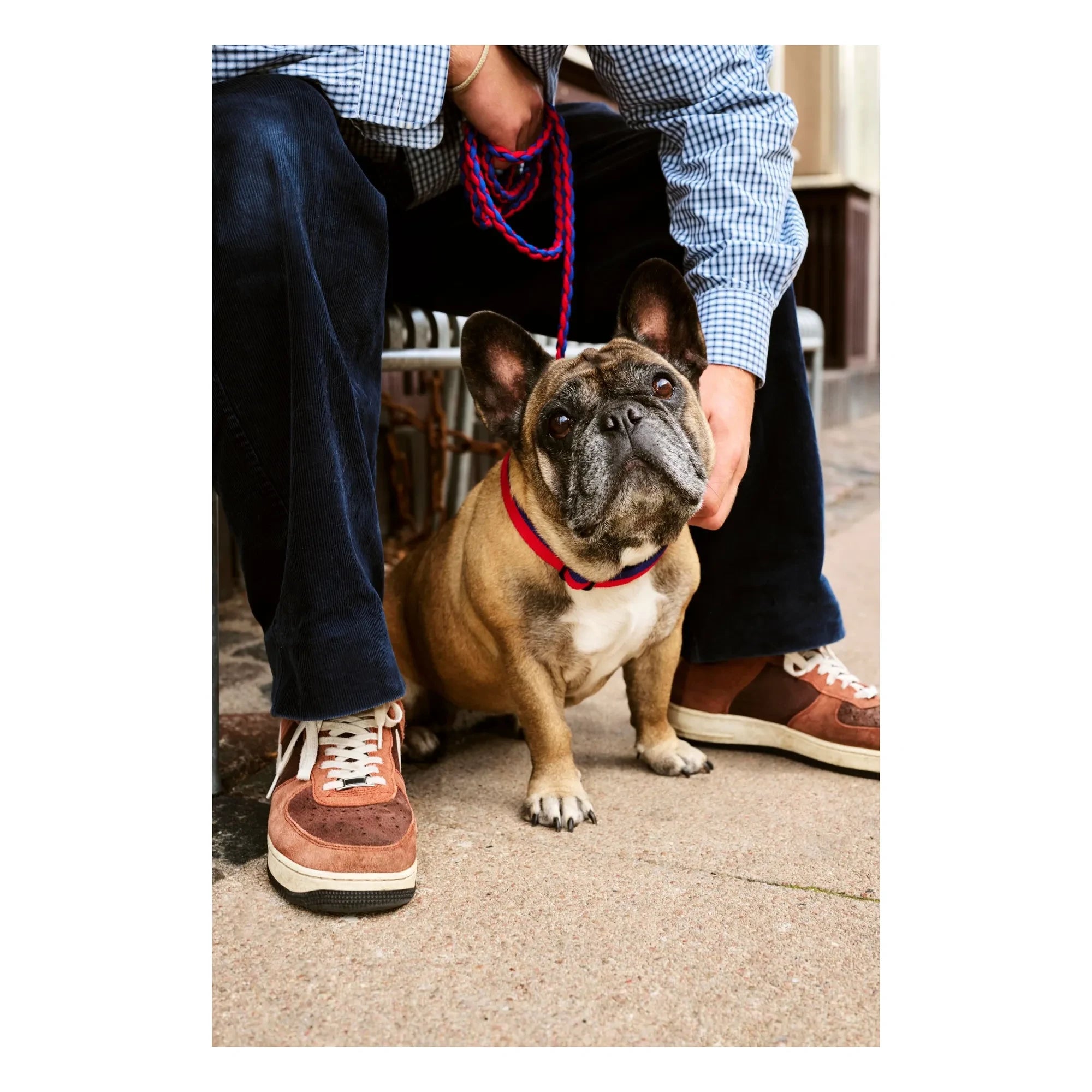 Hay - Adjustable Collar | Blue