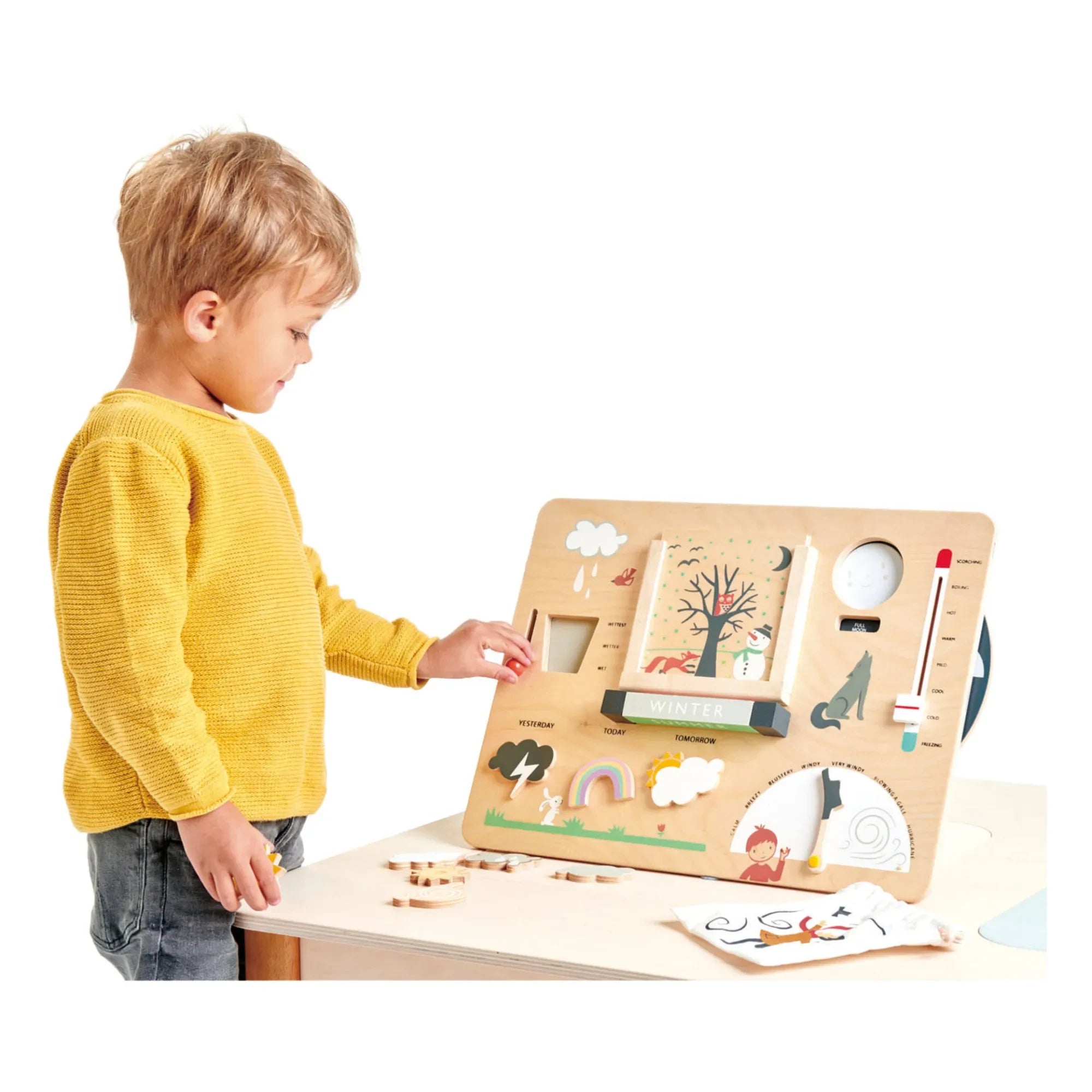 Tender Leaf Toys - Wooden Weather Station