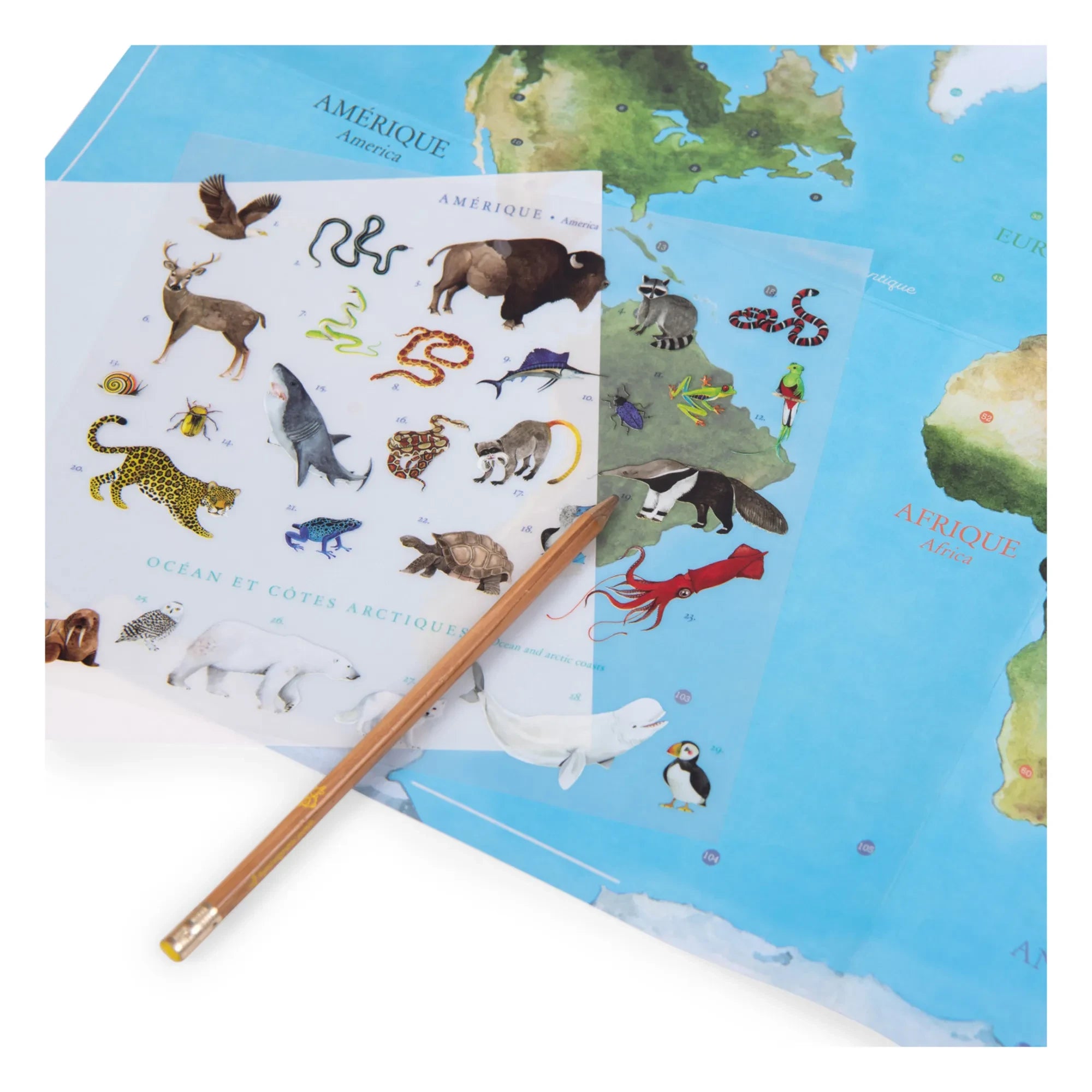 Moulin Roty - Sticker World Map
